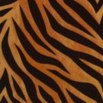 Jungle Fever Tiger - squares - 54X54