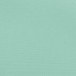 Basic Polyester Mint - rounds - 132”