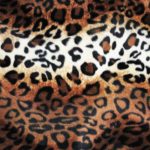 Jungle Fever Leopard Gold - squares - 54X54