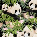 Chinese Panda Bears Black - rounds - 132”
