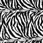 Jungle Fever Small Zebra - squares - 54X54
