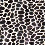 Jungle Fever Giraffe - squares - 54X54