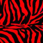 Jungle Fever Zebra Red - squares - 54X54