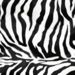 Jungle Fever Zebra Large - squares - 54X54