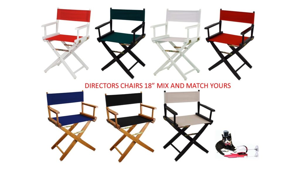 Directors Chairs 18 Inch Black Framewith Black Canvas Party Rentals