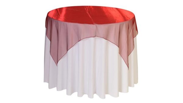Sheer Organza tablecloth