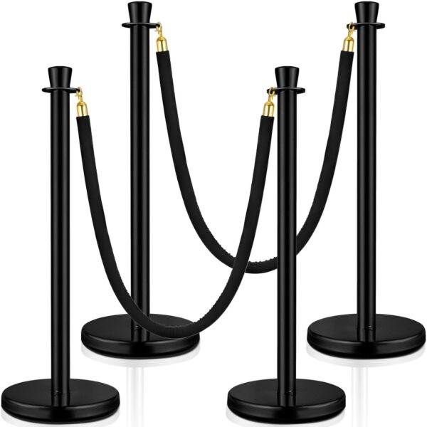 1 Black Stanchion with Ropes