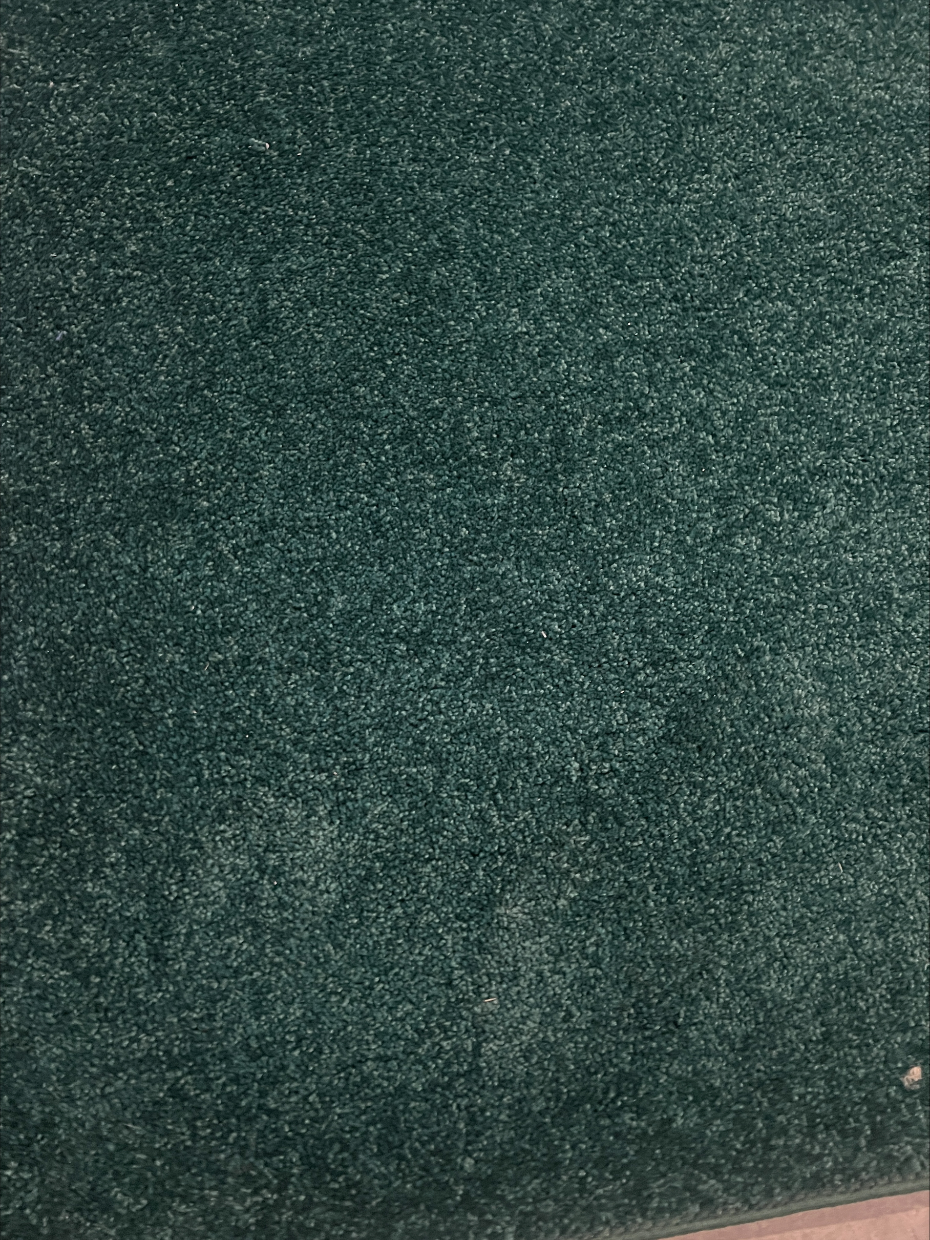 A10 Forest Green Carpet Runners A10 Forest Green Carpet Runners